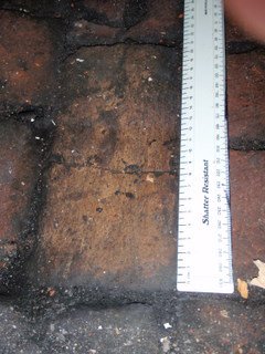 emailfloor 2.JPG emailfloor 2.JPG