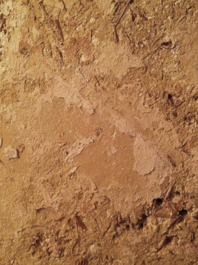 IMG_0143.jpg IMG_0143.jpg