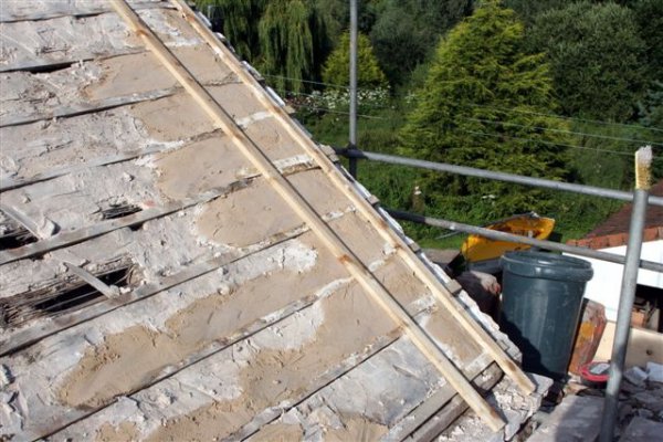roof.JPG