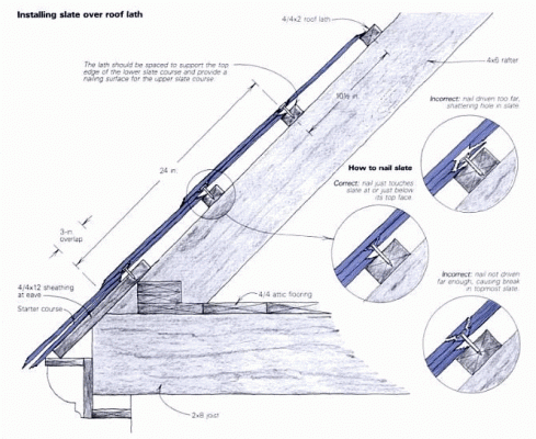 Picture 1.gif