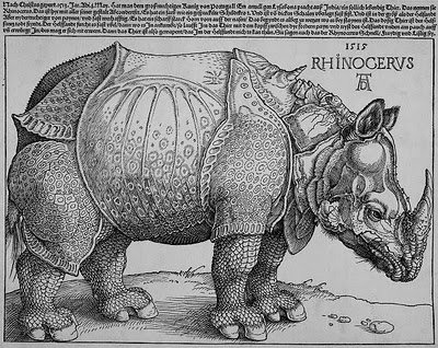 durer rhino.jpg