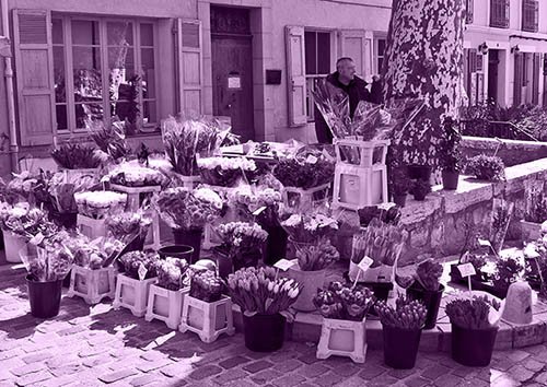 Flower stall.jpg Flower stall.jpg