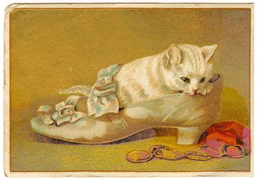 kittenheels.sm.JPG