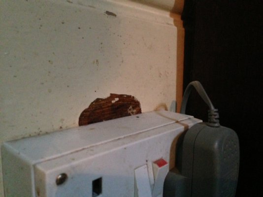 image-5.jpeg