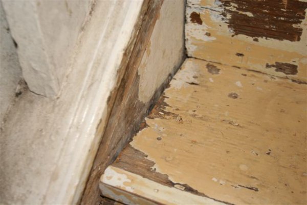 stairs2.JPG stairs2.JPG