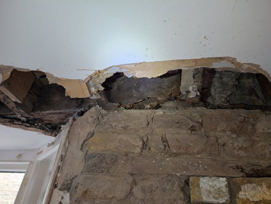 PXL_20240908_091443423.jpg PXL_20240908_091443423.jpg