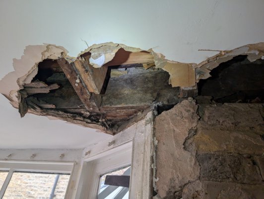 PXL_20240908_091459051.MP.jpg PXL_20240908_091459051.MP.jpg