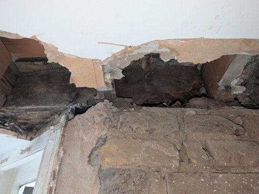 PXL_20240908_091409082.jpg PXL_20240908_091409082.jpg