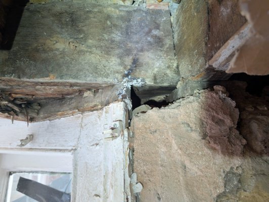 PXL_20240908_091504767.MP.jpg PXL_20240908_091504767.MP.jpg