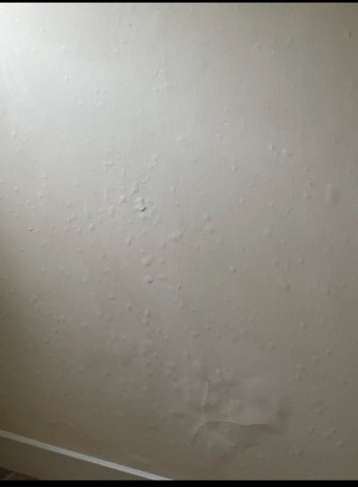 IMG_5460.jpeg IMG_5460.jpeg