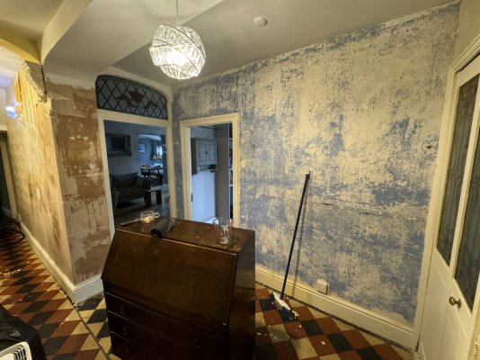 IMG_7596.jpeg IMG_7596.jpeg