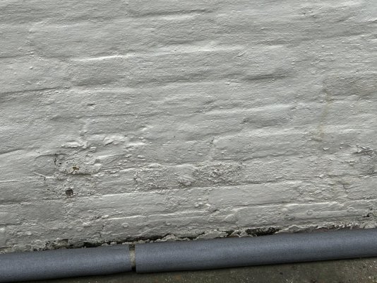 IMG_1109.jpeg IMG_1109.jpeg
