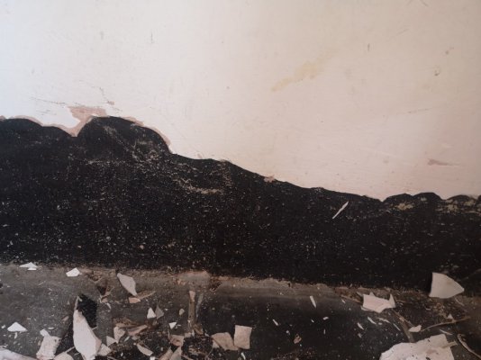 black on wall 2.jpg black on wall 2.jpg