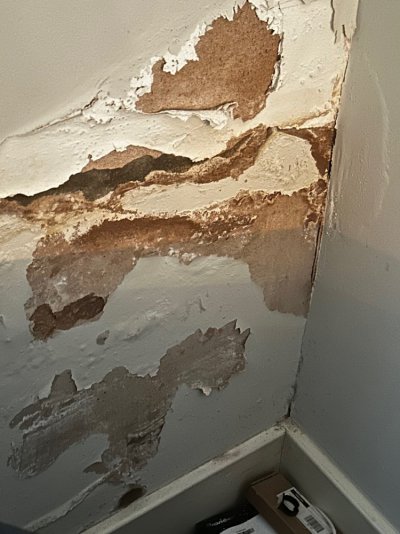 image3 internal plaster damage.jpeg image3 internal plaster damage.jpeg