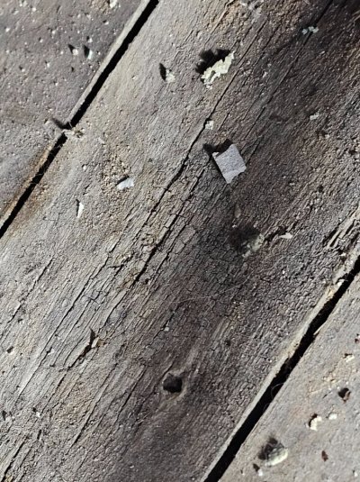 Photo1.jpg