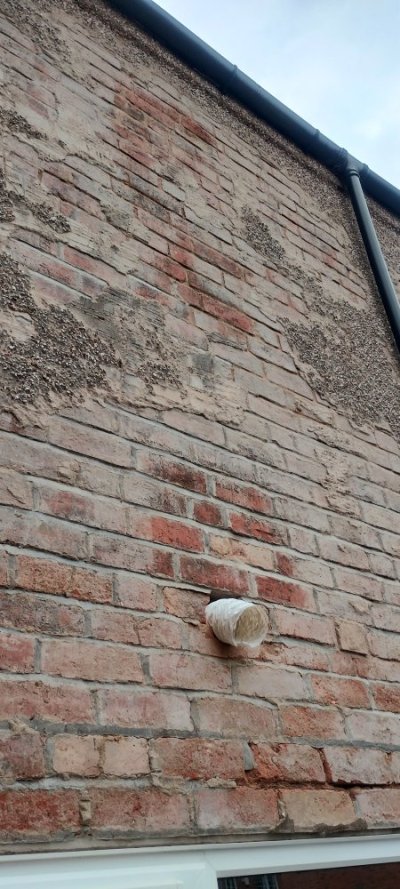 IMG_20250606_155201765_HDR.jpg