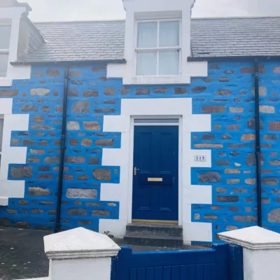 Blue House.jpg.webp