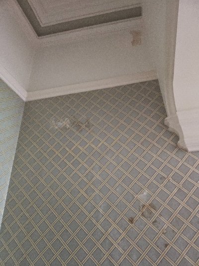 20250605_143154.jpg