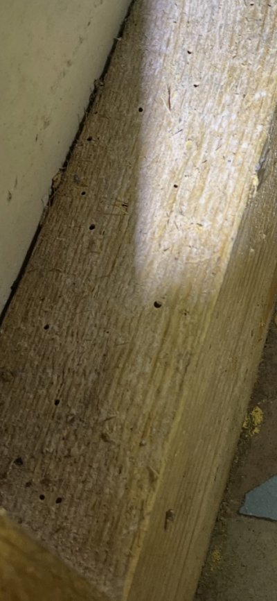 IMG_7901.jpeg IMG_7901.jpeg