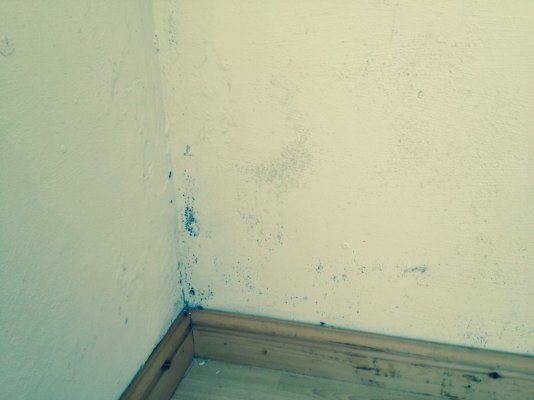 inside wall.JPG