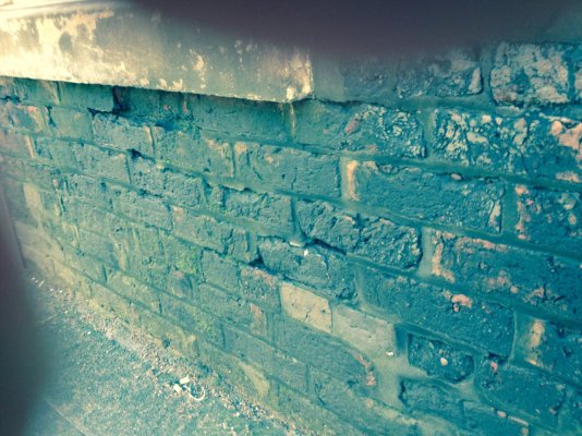 outside wall.JPG outside wall.JPG