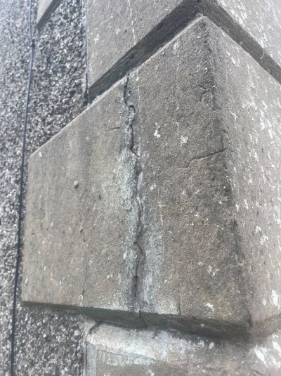 IMG_1005.jpeg