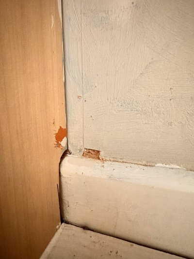 IMG_1572.jpeg