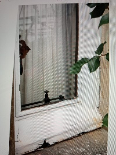 window.jpg