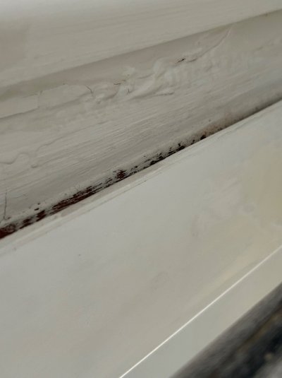 IMG_3643.jpeg IMG_3643.jpeg
