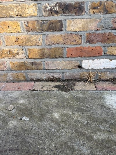 IMG_1690.jpeg