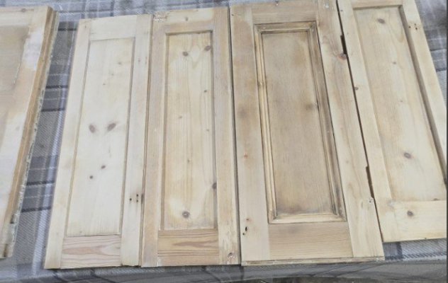 Pitch pine.jpg