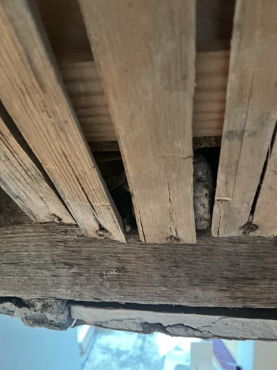 IMG_0140.jpeg