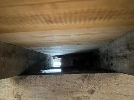 IMG_5913.jpeg