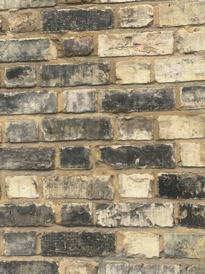 IMG_1049.jpeg IMG_1049.jpeg