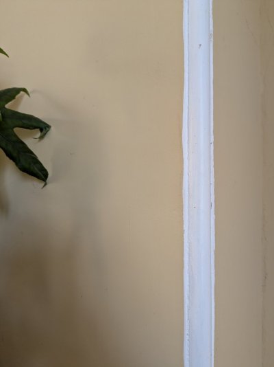 PXL_20250821_161316291.jpg