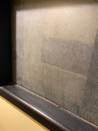 IMG_8023.jpeg IMG_8023.jpeg