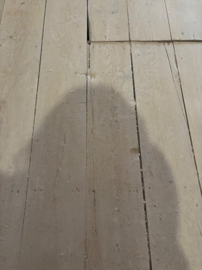 IMG_7542.jpeg