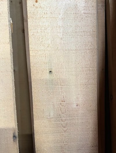 Yellow pine.jpg