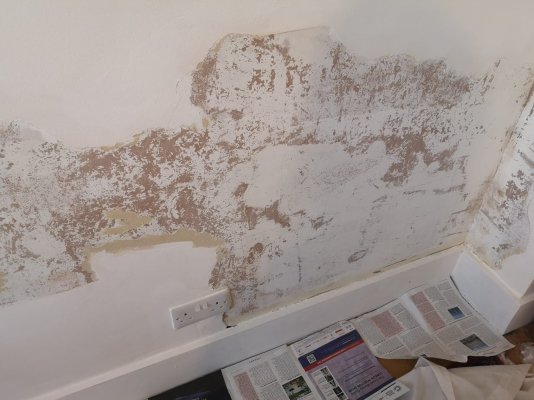 Damp1.jpeg Damp1.jpeg