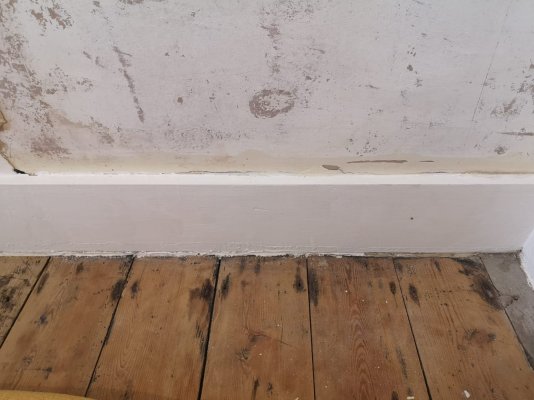 Damp2.jpeg Damp2.jpeg
