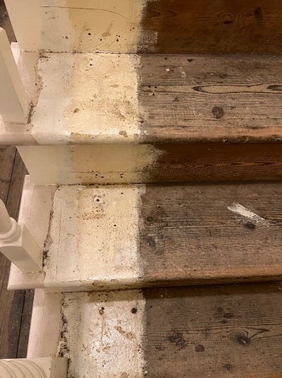IMG_6942.jpeg IMG_6942.jpeg