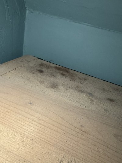 IMG_4331.jpeg