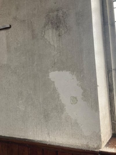 IMG_2577.jpeg IMG_2577.jpeg