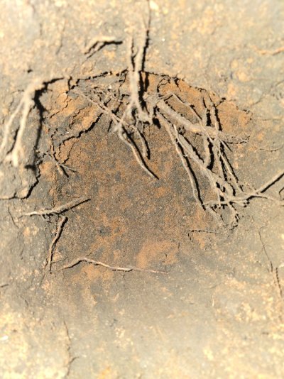 20251015_182622.jpg 20251015_182622.jpg