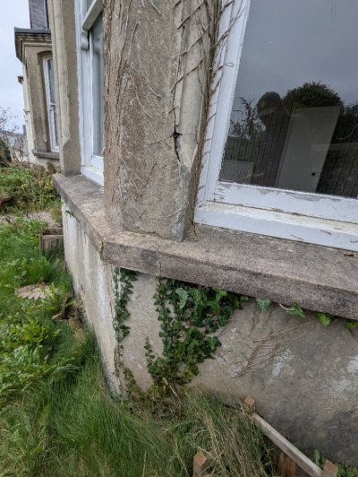 PXL_20251015_120715253.jpg PXL_20251015_120715253.jpg