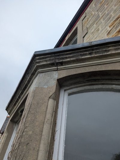 PXL_20251015_120655176.jpg PXL_20251015_120655176.jpg