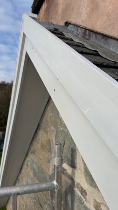 IMG_4874.jpeg IMG_4874.jpeg