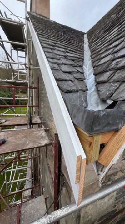 IMG_4876.jpeg IMG_4876.jpeg