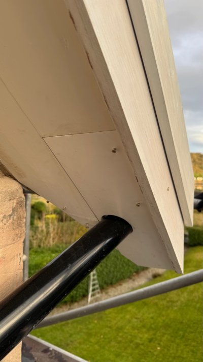 IMG_4877.jpeg IMG_4877.jpeg