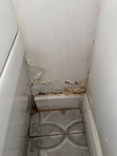 IMG_1687.jpeg